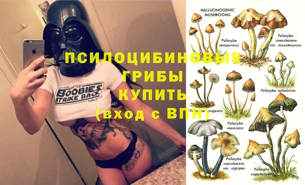 apvp Вязники