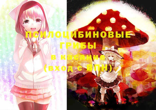 apvp Вязники